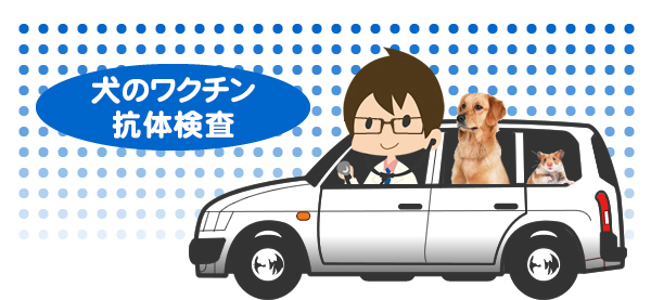 犬のワクチン抗体検査
